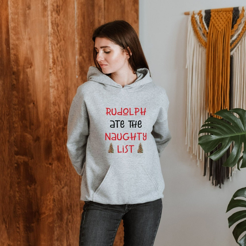 Funny Christmas Sweatshirt, Family Holiday Gift Ideas, Ladies Christmas Outfit, Ugly Christmas Sweater, Xmas Pullover Hoodie, Xmas Sweater