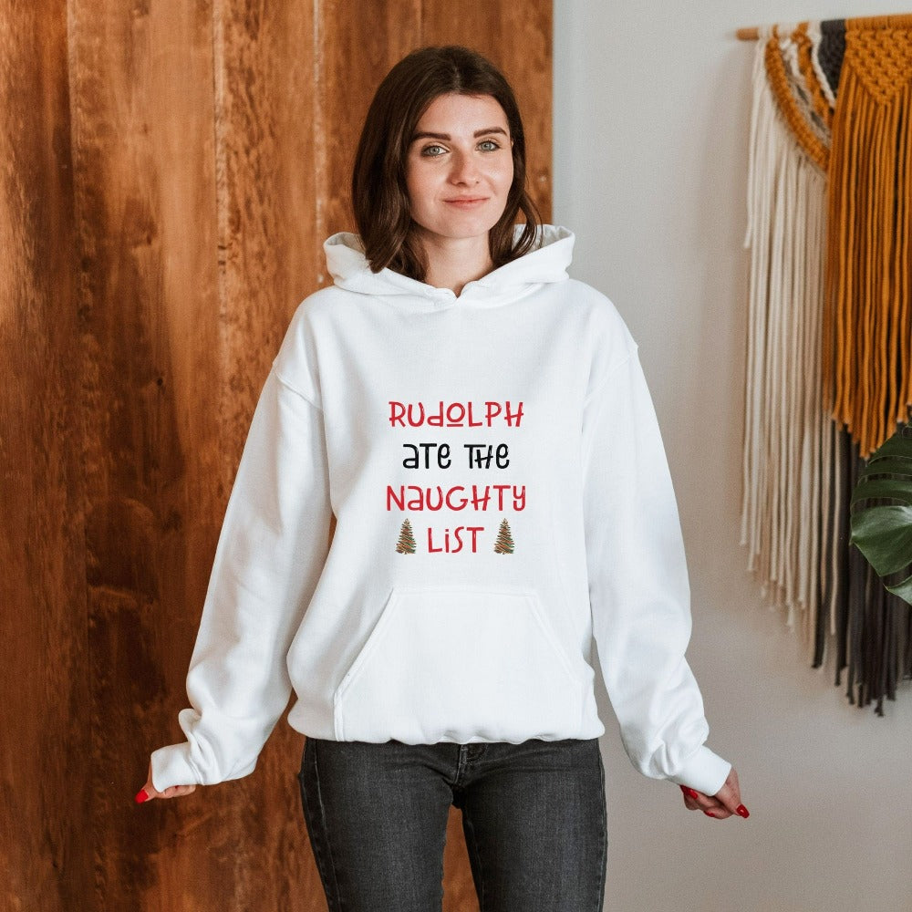 Funny Christmas Sweatshirt, Family Holiday Gift Ideas, Ladies Christmas Outfit, Ugly Christmas Sweater, Xmas Pullover Hoodie, Xmas Sweater